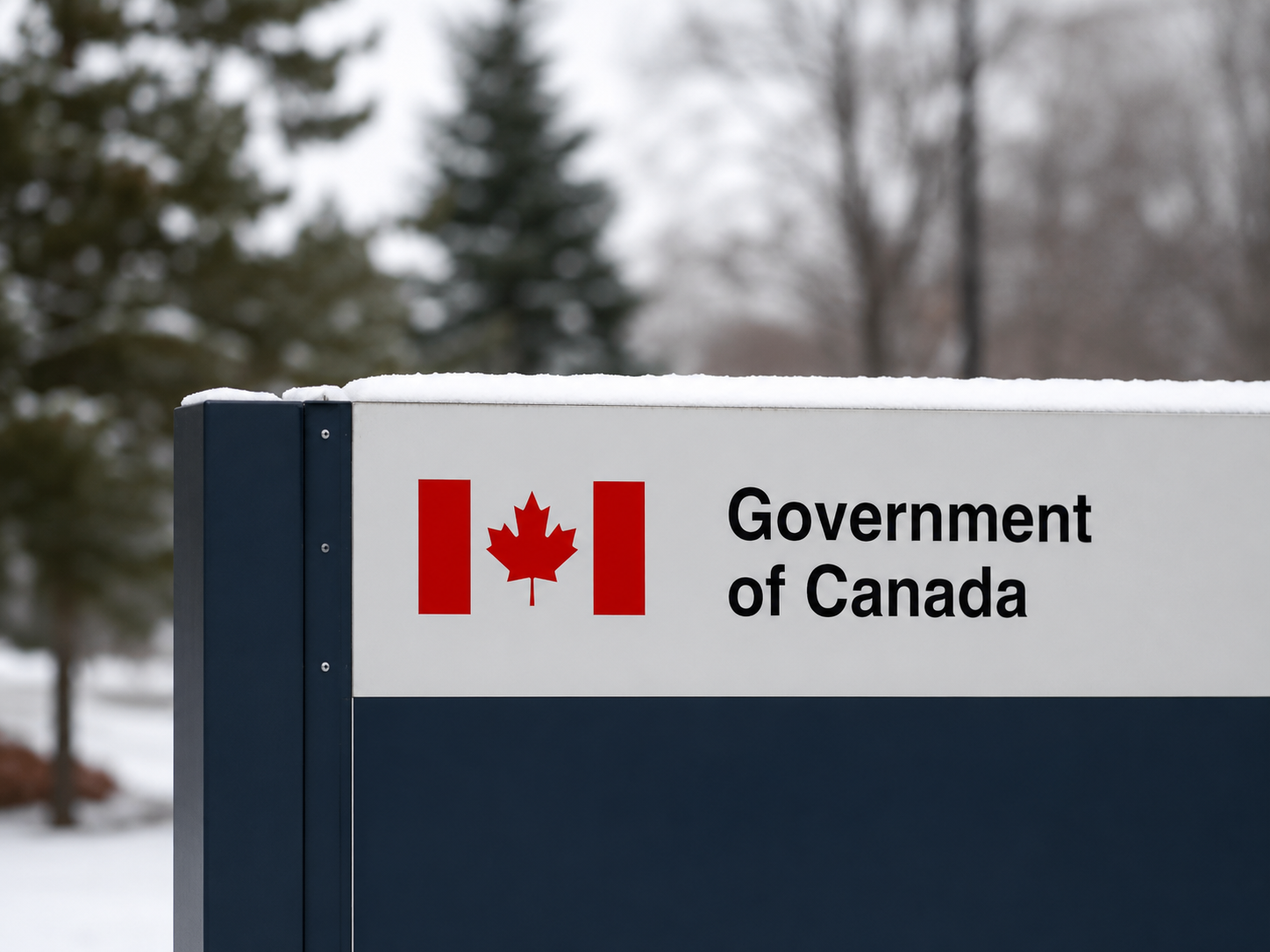 加拿大 Health Canada 合规审查